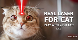 Les pointeurs laser sont-ils mauvais pour les chats?